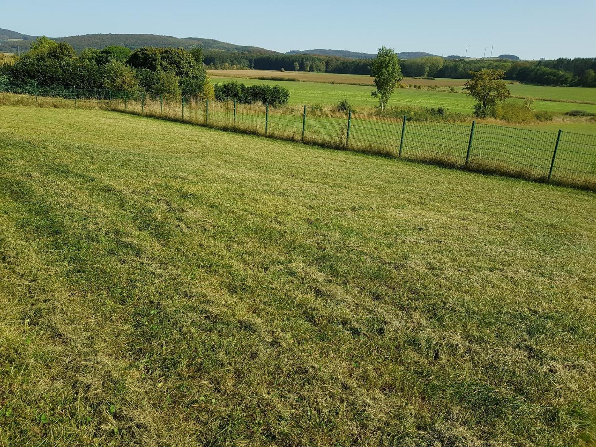 Wolfshuette Villa Hillesheim Luaran gambar